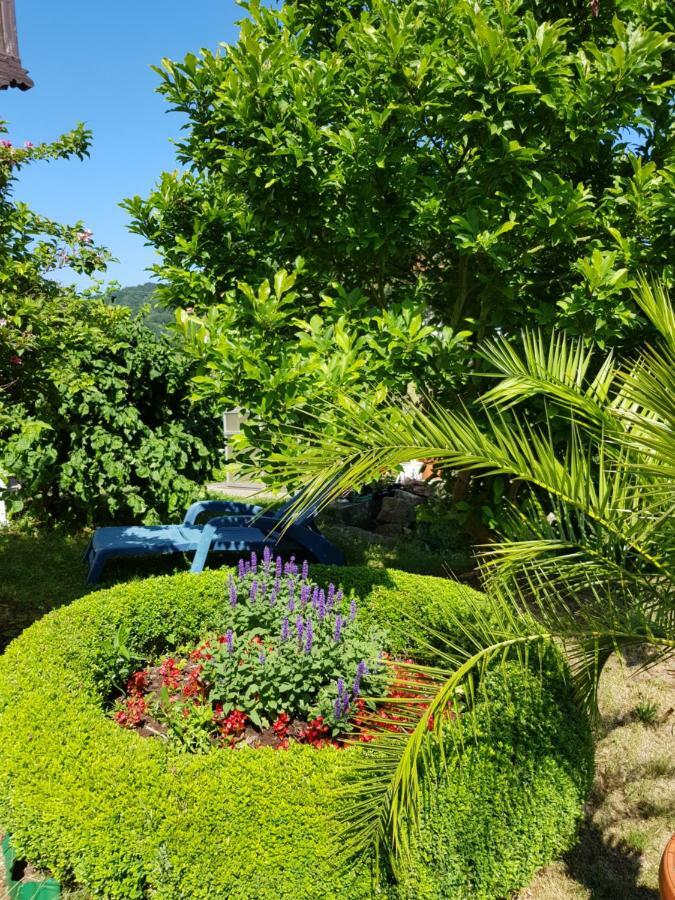 Villa Charlotte