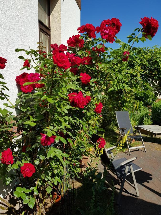 Villa Charlotte Bad Liebenstein